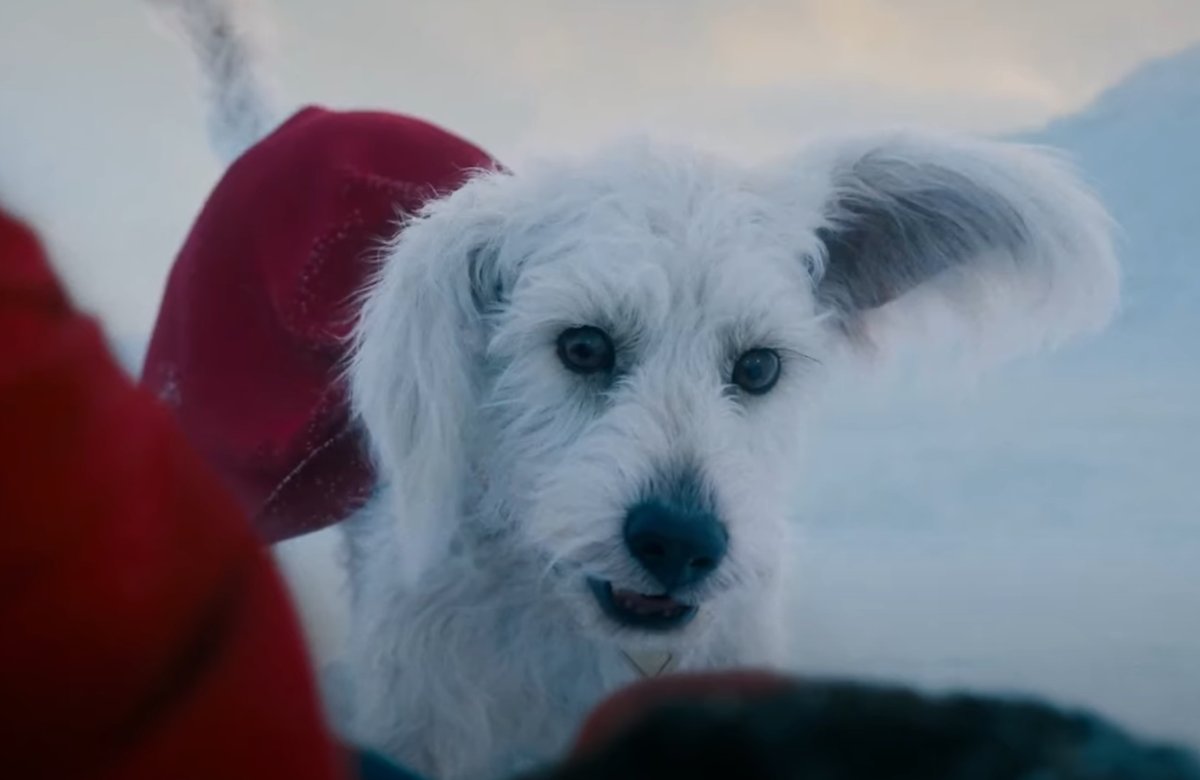 Number of seconds it took to convince me that Krypto appearing in a Superman movie could work: 1