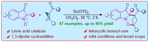 ATBiju Group (@atbijulab) on Twitter photo Just out <a href="/JACS_Au/">JACS Au</a>, our work on Lewis acid-catalyzed (3+3) annulation of BCBs with isatogens for direct access to tetracyclic indoxyls.
Thanks to <a href="/serbonline/">SERB</a> 🙏for funding this work done by <a href="/shiksha_deswal/">Shiksha Deswal</a>, <a href="/RCD07_IISC/">ROHAN CHANDRA DAS</a> & <a href="/deeptanu_2/">Deeptanu Sarkar</a>👏!
pubs.acs.org/doi/10.1021/ja…
<a href="/iiscbangalore/">IISc Bangalore</a> Just out <a href="/JACS_Au/">JACS Au</a>, our work on Lewis acid-catalyzed (3+3) annulation of BCBs with isatogens for direct access to tetracyclic indoxyls.
Thanks to <a href="/serbonline/">SERB</a> 🙏for funding this work done by <a href="/shiksha_deswal/">Shiksha Deswal</a>, <a href="/RCD07_IISC/">ROHAN CHANDRA DAS</a> & <a href="/deeptanu_2/">Deeptanu Sarkar</a>👏!
pubs.acs.org/doi/10.1021/ja…
<a href="/iiscbangalore/">IISc Bangalore</a>