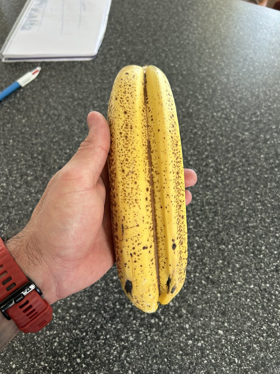 bogues2zoners's tweet photo. Never had a double banana before.
#TwoDicks https://t.co/ybImrh7gwj