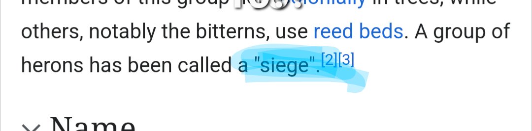 Heron supporters! We'd love to see your smiling faces with your new jerseys. Drop a picture of you in your supporter jersey with #TeamHeron and let's assemble the siege!

(We're calling you a siege now. We can't argue with wikipedia....)