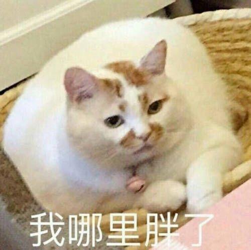 有人总说自己过得不好，

一上秤却又胖了不少。