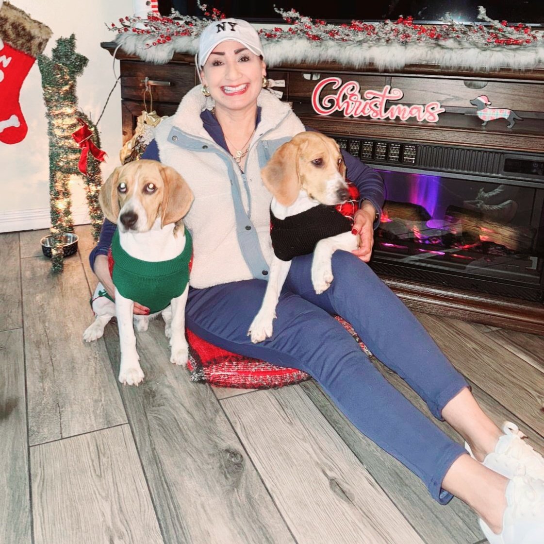castillos211971's tweet photo. #NewProfilePic
1st Christmas 2024🎄 with us I'm so happy with my big babies  pups  🐶. https://t.co/VmKYbh5jGn