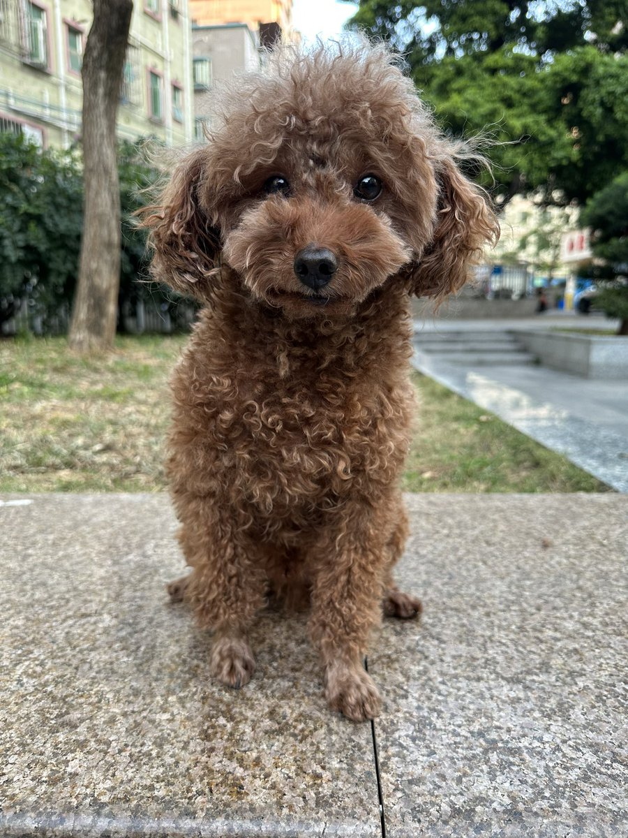 cnibot007's tweet photo. 洗澡后 https://t.co/NnfWqdDIwm