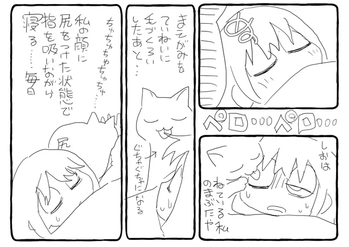 毎日 