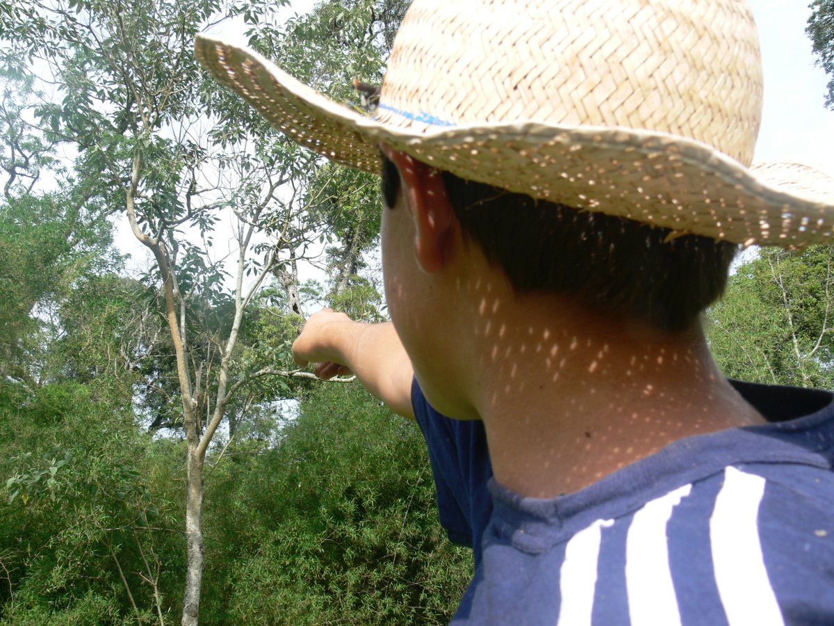 Kristina Cockle tweet media