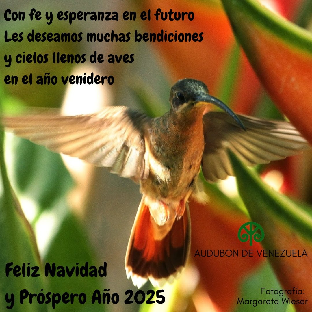 Con fe y esperanza en el futuro, les deseamos muchas bendiciones y cielos llenos de aves en el año venidero.
¡Feliz Navidad y próspero año 2025!