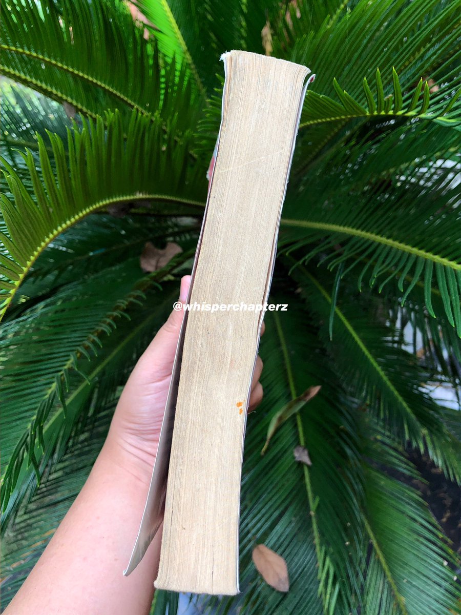 ᵔ⁠ᴥ⁠ᵔ tweet media