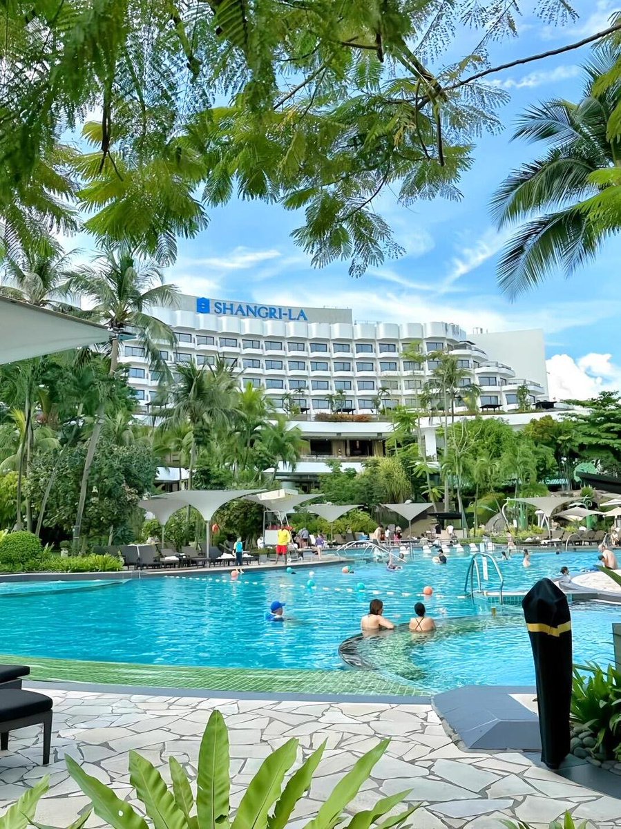 dvcdfccc's tweet image. You can&apos;t change the direction of the wind, but you can adjust the direction of the sail