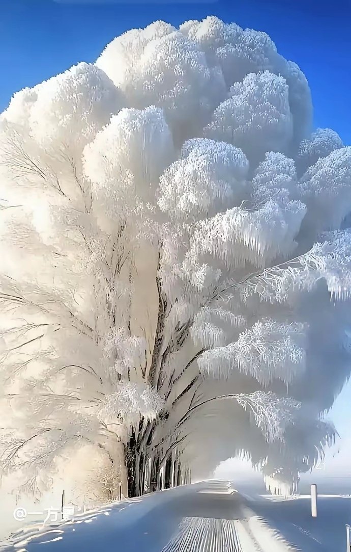 东北雾凇！天呐，这是童话世界？#大美中国