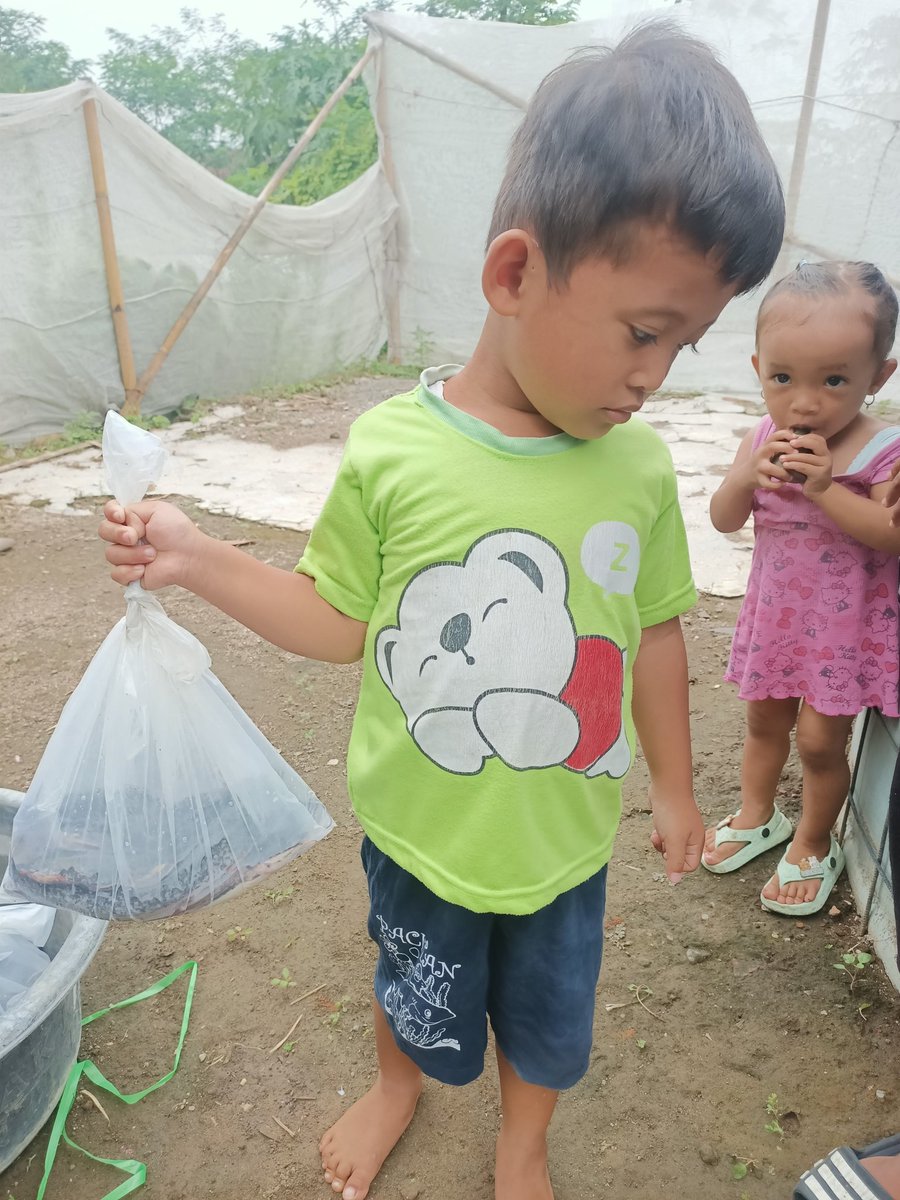 jko2323's tweet photo. Kamis (28/11), Zainal Mustofa, Luh Boyolali, pndmpingan pmbagian Ikan Lele kpda Balita yg trdata Stunting sbgai protein tmbahan dlm rngka mngntaskan stunting
#GiatLuhkanSatminkalTegal
#Produksi
#Panen
#Boyolali
#stunting
@bppsdm_kp
@pusluh_bppsdm
@PKBLU_bp3tegal 
@BudidayaKKP https://t.co/HB8V9AN4Tf