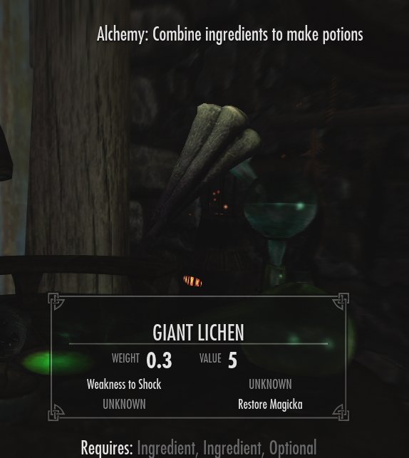 TheLadyGoatess's tweet photo. Elder Scrolls Ornaments Day 19: Giant Lichen

#TESOonline #ESOFam #ElderScrollsOnline https://t.co/YXQ9yGzjiJ