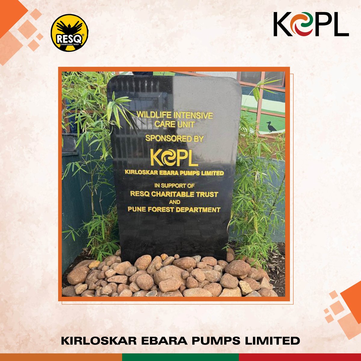 kepl_pumps's tweet photo. Reaffirming our commitment to sustainability, we’ve donated a Wildlife ICU to RESQ Charitable Trust, Pune. Inaugurated by our Managing Director Ms. Rama Kirloskar. It will aid the recovery of injured wildlife, enabling their return to nature.
#WildlifeConservation #KEPL #RESQ https://t.co/NIMOeHpzdZ
