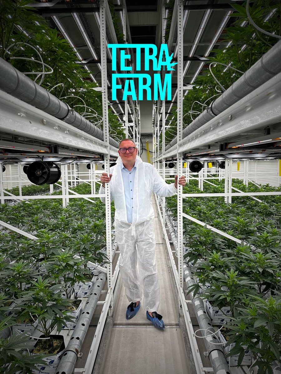 Tetra Farm - Buy NFT & Invest In Legal CBD Plants (@tetrafarm_com) / Posts  / X