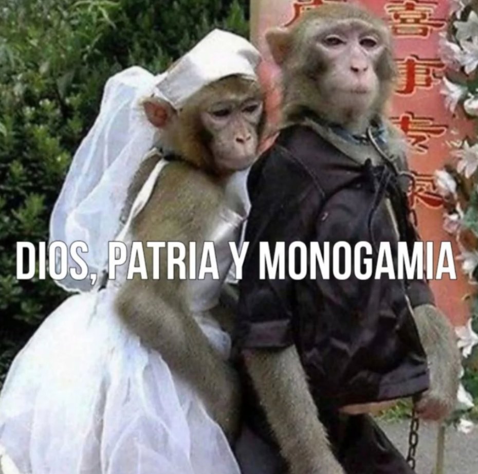 Sebastardo tweet media