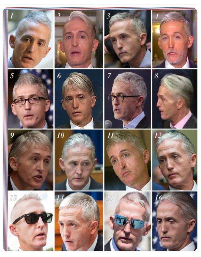 raggapegs's tweet photo. Ah yes, Trey Gowdy. The many faces of the little weasel. BTW, this POS should be in prison for lying about Hillary, and Benghazi. https://t.co/zrttQwxqWq