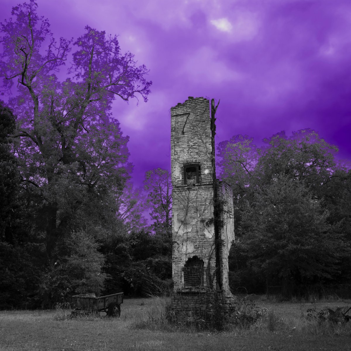 CSR-011

Possums - Possums, the debut album from the new Atlanta Georgia punk rock band

Available for digital, cassette, and vinyl

/50 Black Marble Cassette

/200 Lavender Eco-Mix Vinyl

/10 Vinyl Test Pressings (Only 3 sold online)

Link to purchase in our bio