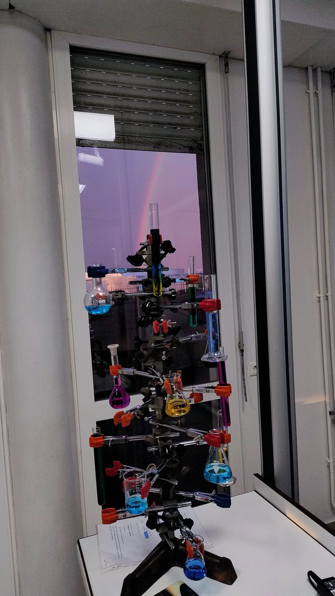 Et voici la version seconde 3 d'hier en cours de réalisation, avec comme par "magie", la nature venue offrir un peu de physique à ce Chemistree 😊🌈