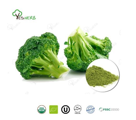 AnYuensun's tweet image. 🌱 Boost Your Health with Broccoli Powder 🌱

Our Broccoli Powder is packed with nutrients like vitamin C, vitamin K, calcium, and potassium. Rich in antioxidants, it helps improve gut health, fight inflammation, and supports cardiovascular health.

#BroccoliPowder #Superfood