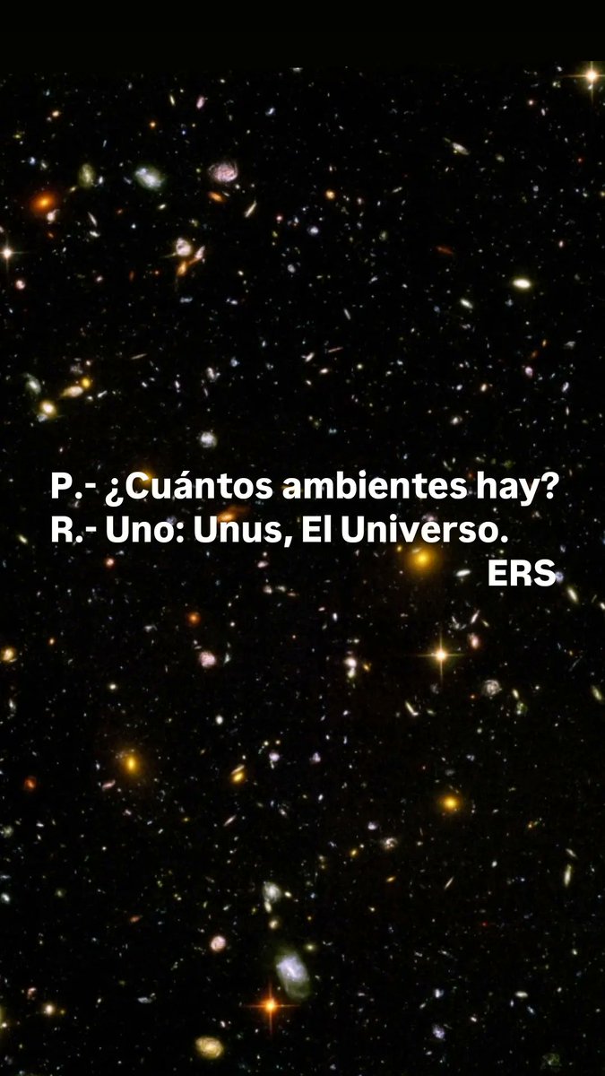 Elio Rios tweet media