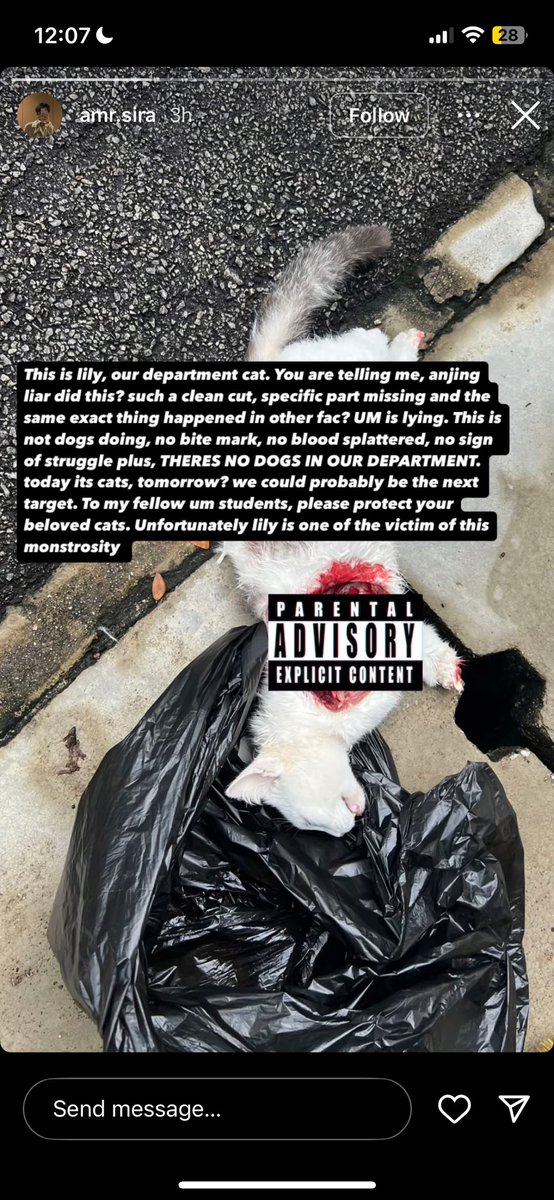 nolongerskek's tweet photo. Hi everyone, thankyou so much for the engagement but today, another cat, Lily has fallen victim to the same brutal tactic of dismemberment.

Please share🙏🏻
Kucing, anjing, tak boleh defend themselves but only our voices can. https://t.co/2xt1IbullJ
