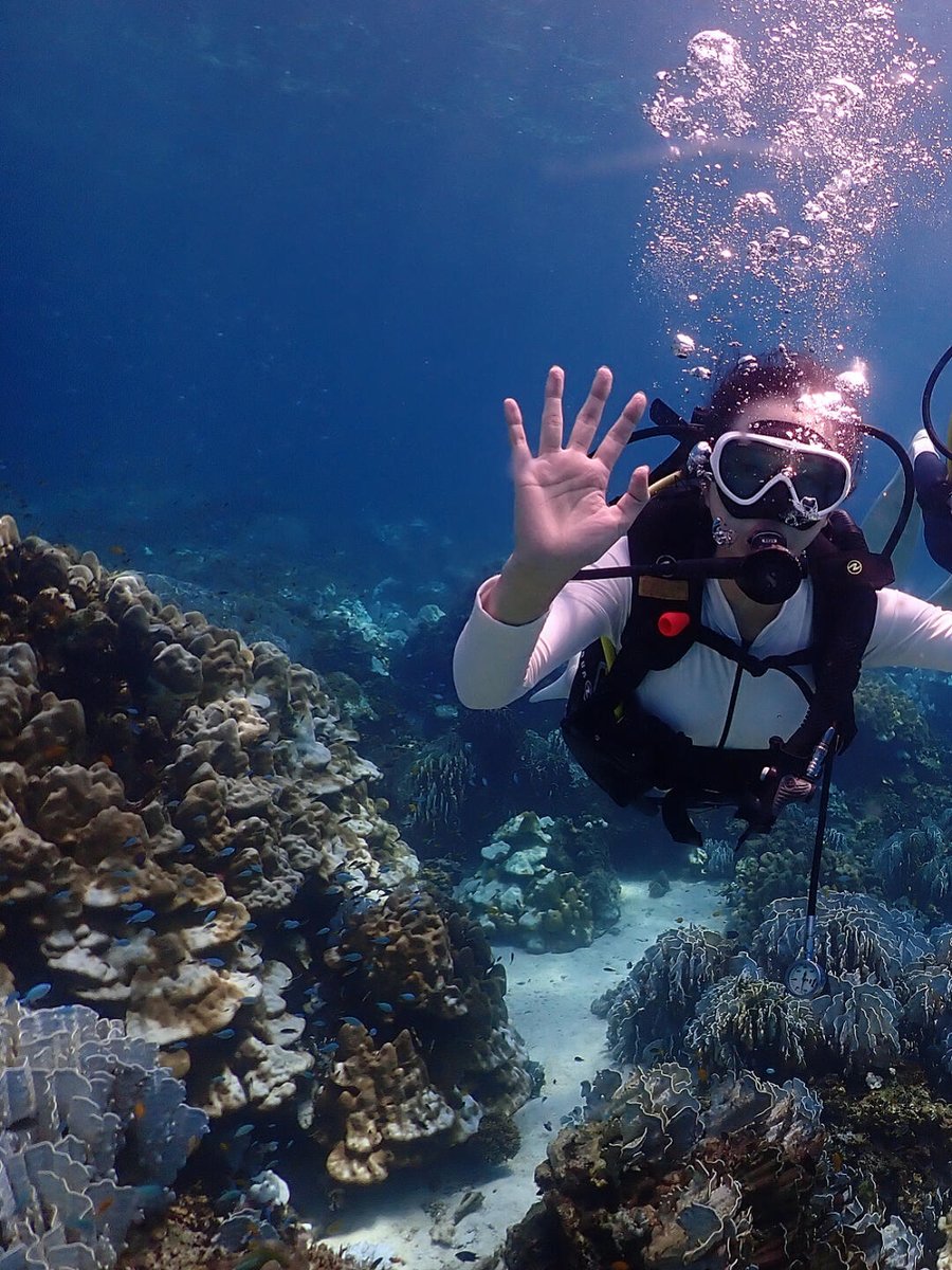 kersley36's tweet photo. 🌟🤿 Swimming in the vast blue ocean, the freedom of the mind is like the endless waters. 🐠💙
#divetourism #divingequipment #freediving #underwaterphotography #underwatercreatures https://t.co/1NE7NERrH9