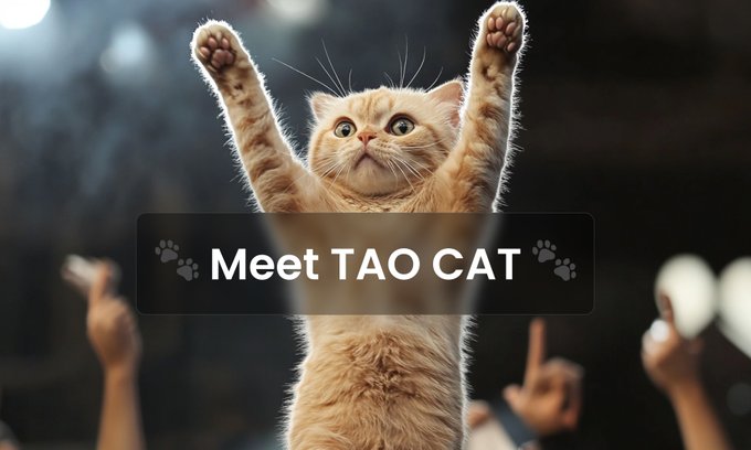 理一下昨日 AI 速通盘  $TAOCAT CABAL OR?
—— Base 与 西方资本押注的@Masafi 的AI野心

下午去机场前和群友们在 Virtuals 上看到一只神秘猫咪，开盘开始就速通 10M，推特简介里也很直接的挂了 由 Bittensor &amp; Virtuals 支持 @Getmasafi 打造。以及持有 Virtuals 生态相关的都可以查查钱包，空投了