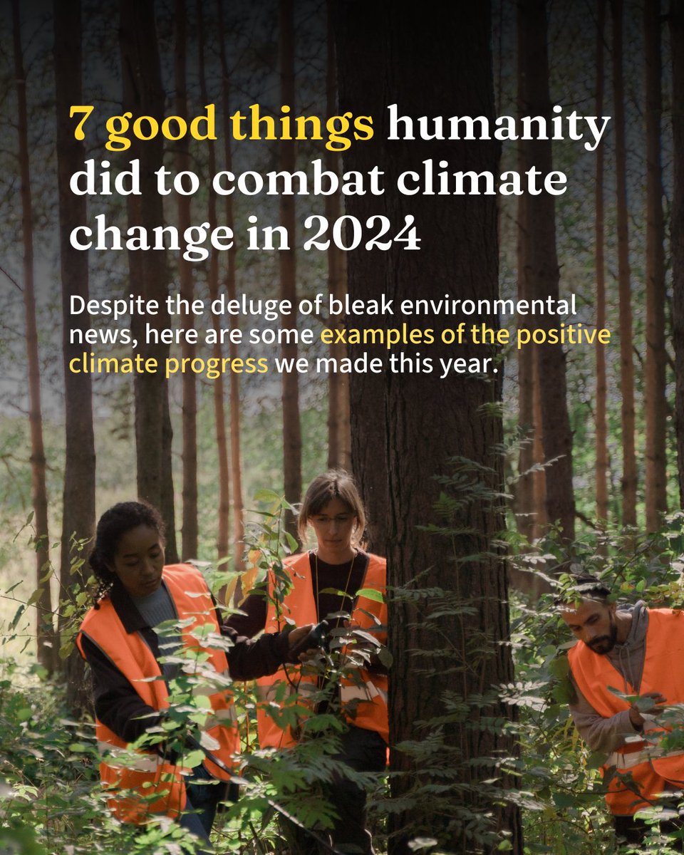 It’s been a tough year for weather and climate, but it’s not all bad. Research fellow Dr Kim Read from the School of Geography, Earth and Atmospheric Sciences shares good news on the fight for climate around the world. Tap to learn more in Pursuit ➡️ unimelb.me/41Kvz7I