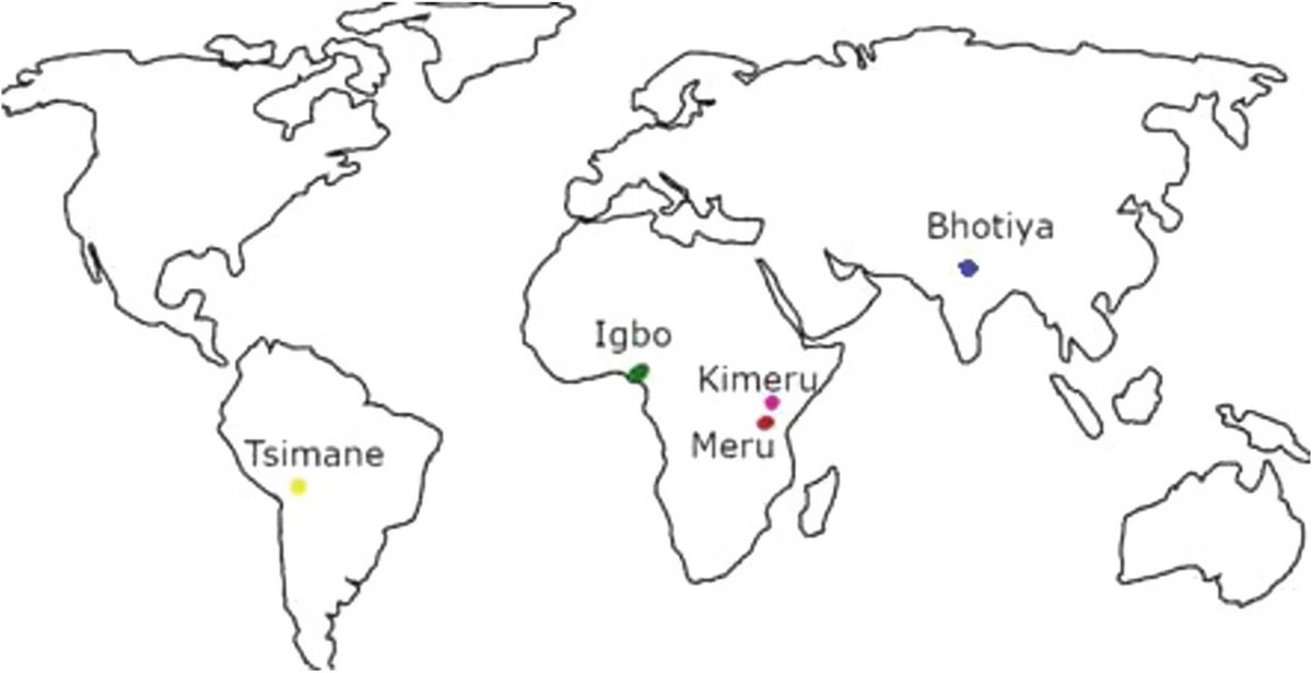 Marta Kowal tweet media