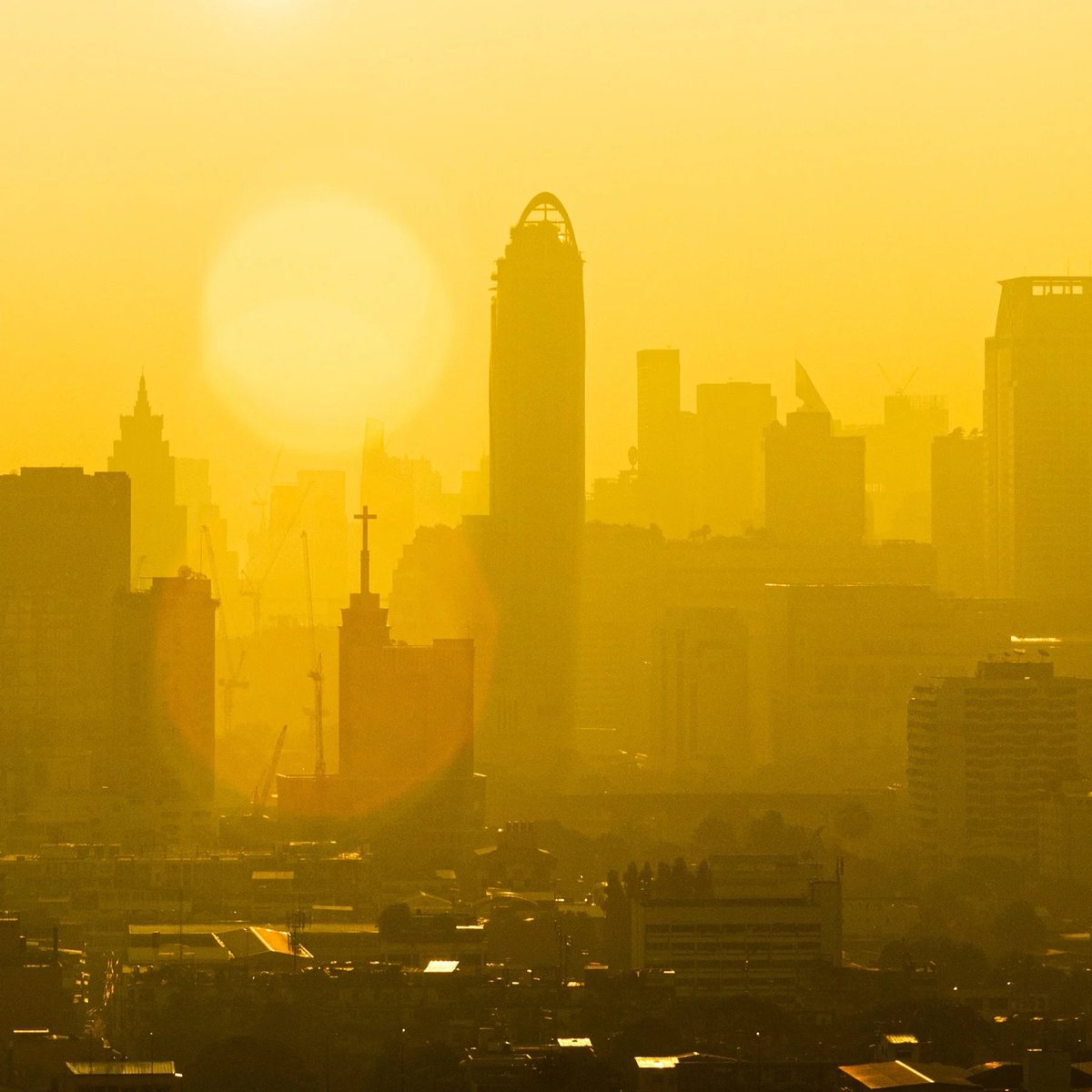 Monash University India tweet media