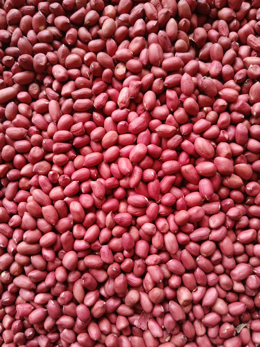 favoriteguyy's tweet image. Suppliers and wholesalers of groundnuts..contact 0759930339