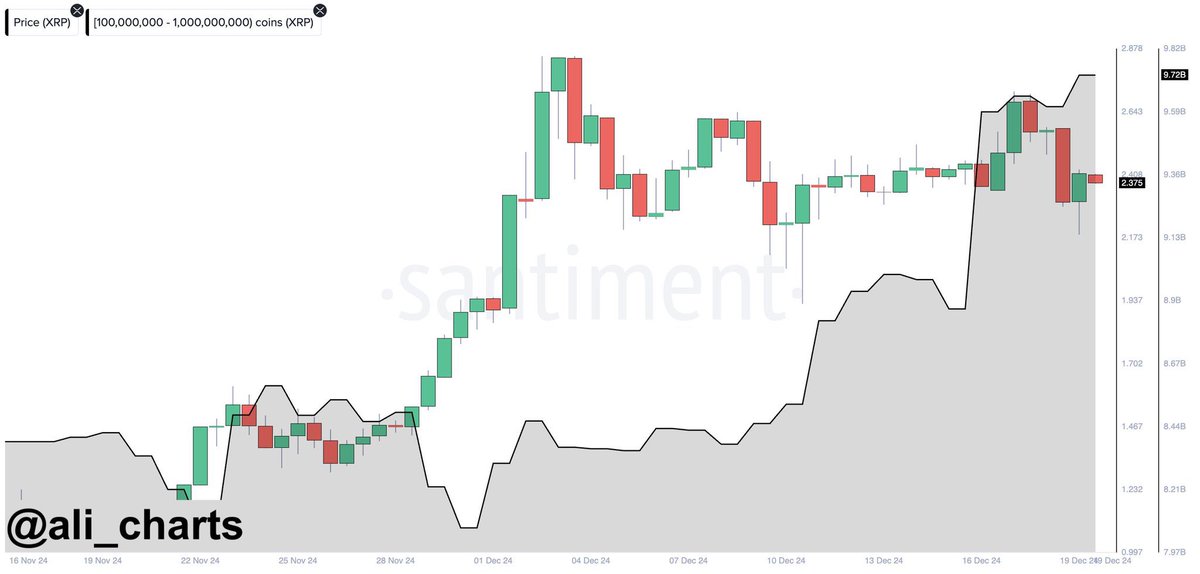 RippleXrpie's tweet photo. 🚨 In the last 24 hours, whales have bought over 110 million #XRP! 👀

Smart people love red candles. OPPORTUNITY 👏 https://t.co/GrJnXgjes4