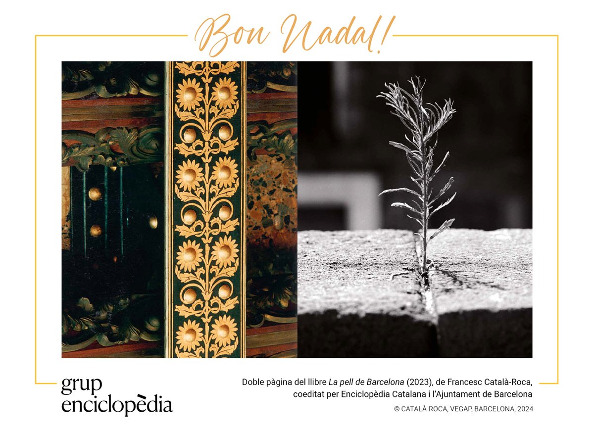 diccionariCAT's tweet photo. D’on venen les paraules Nadal, neula, caneló, torró...?
Us volem desitjar bones festes 🎄amb unes quantes #etimologies nadalenques 👇
https://t.co/wKWJkNzzKH https://t.co/YWFiEA5WHw