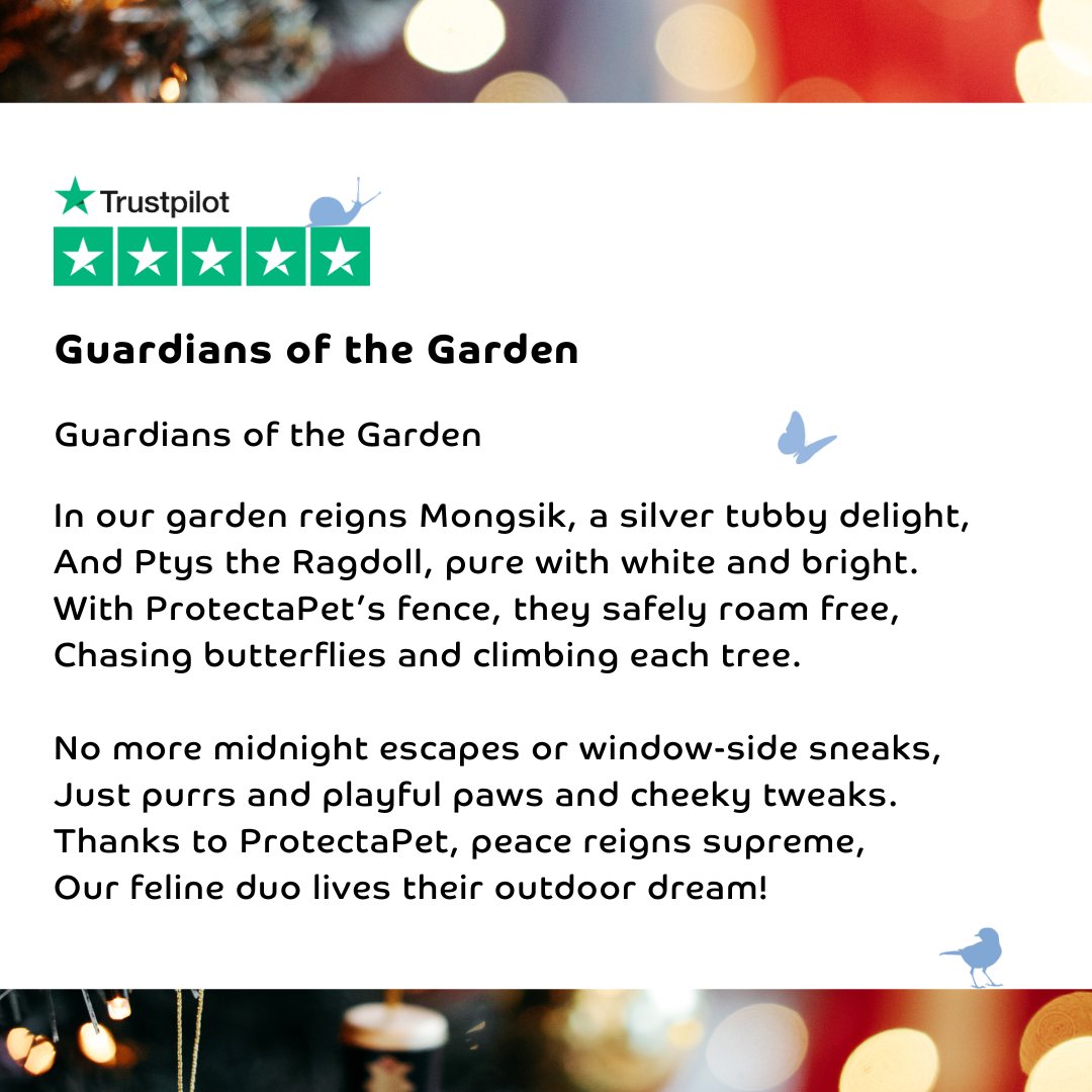 Thank you for this amazing Trustpilot Review!! 🎄🎁✨