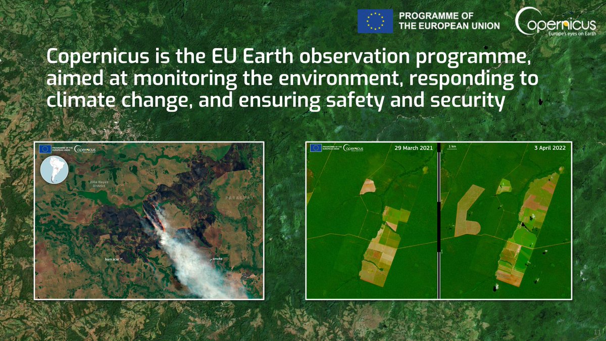 PEFC International tweet media