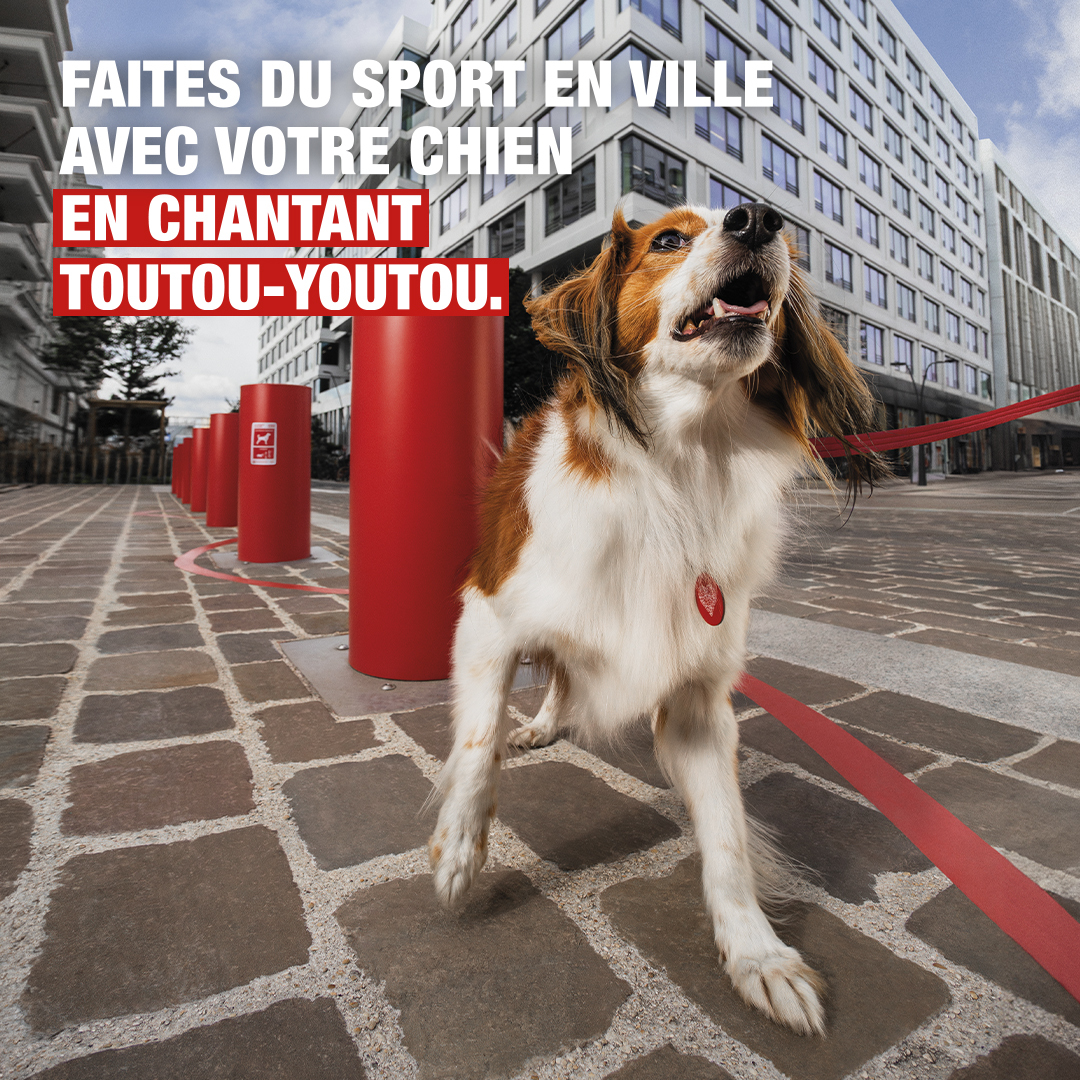 🐾 Les chiens en ville manquent d’espace ? 

Avec la <a href="/SPA_Officiel/">La SPA France</a> et #NatureDeChien nous avons transformé les bancs, poteaux et lampadaires en salle de sport pour chiens ! 

Découvrez nos tutos ! 💪 
🔗generali.fr/urban-doggy-fi…

#urbandoggyfit #pets #sport #doglover