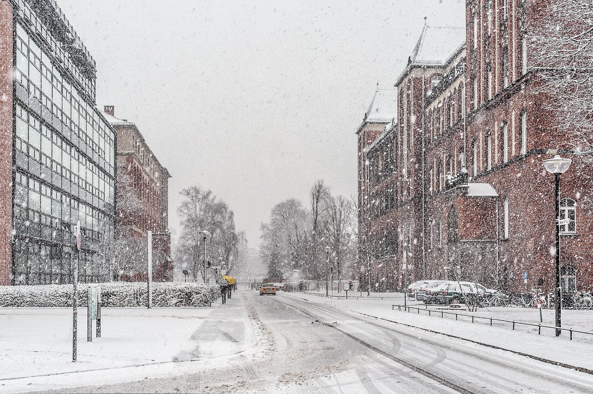 DRFZ_Berlin's tweet image. Dear friends of the DRFZ,
An eventful year is almost over.
We wish all colleagues and friends of the DRFZ a peaceful and relaxing holiday season.
We look forward to an exciting new year together in 2025!