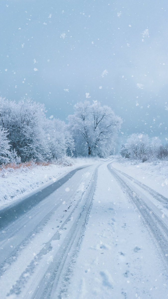 earthcurated's tweet photo. — nature’s poetry ❄️ https://t.co/DUKsKJmbRW