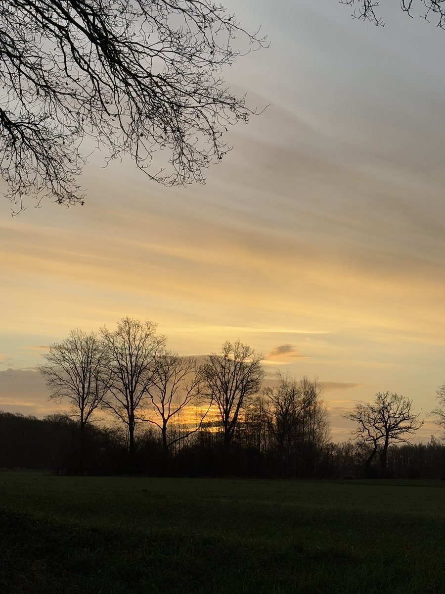 Zunneyoga's tweet photo. Tatarata daar is ie dan #dezon https://t.co/TsZTBJ8cO6