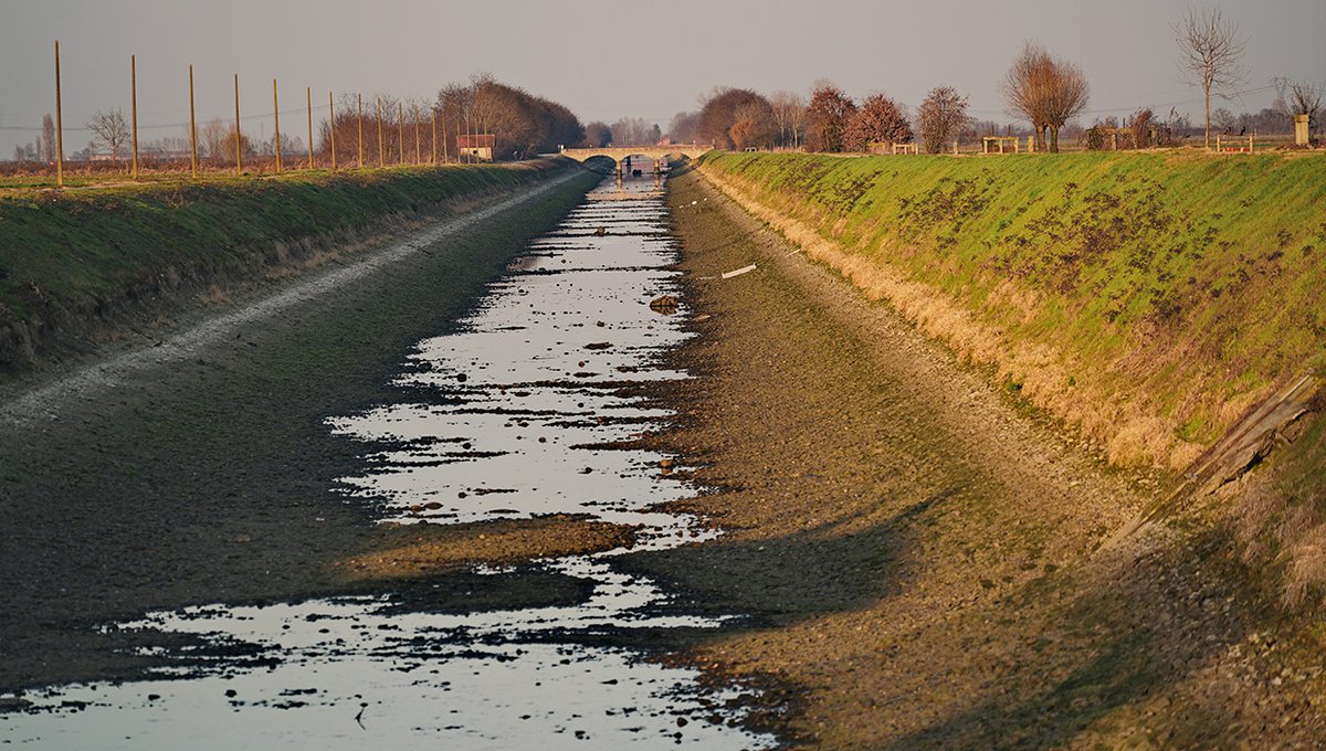 In this edition of our bilingual feature, Tom Alberto Bull returns to the Po Valley to update us on the problems facing Europe’s rice producers…

Read it here: italytravelandlife.com/learn-italian/…