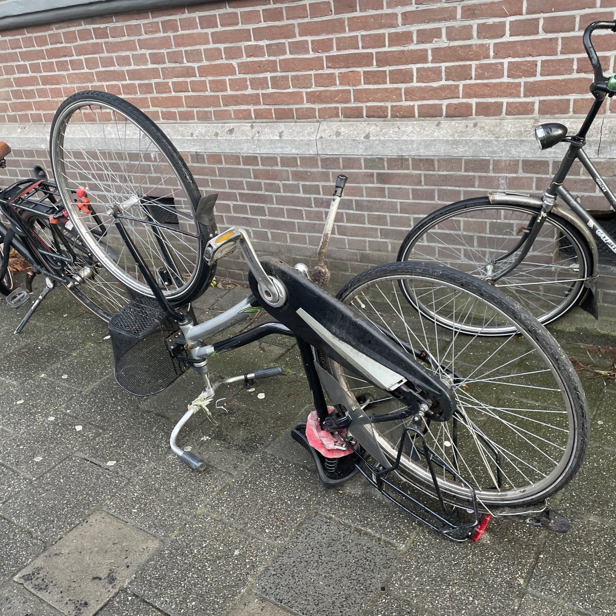 Frank Brander tweet media