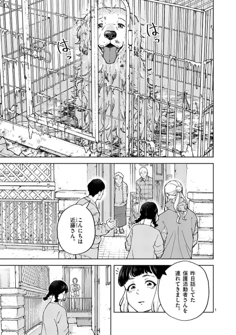 お世話できない高齢者が犬を飼ってしまった結果…(1/5) 