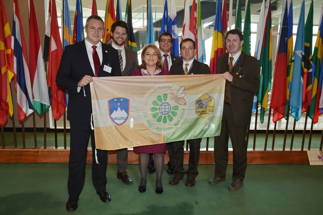 20. decembra 2017 smo bili najbolj ponosni Slovenci. Skupaj in enotni, s pobudo, ki je združevala svet, smo uspeli, da je Generalna skupščina OZN razglasila svetovni dan čebel.

<a href="/UN/">United Nations</a> <a href="/FAO/">Food and Agriculture Organization</a> <a href="/FAODG/">FAO Director-General QU Dongyu</a> <a href="/CzsNoc/">Boštjan Noč,</a> <a href="/vladaRS/">Vlada Republike Slovenije</a> <a href="/MKGP_RS/">Ministrstvo za kmetijstvo, gozdarstvo in prehrano</a> <a href="/MGTS_gov/">Ministrstvo za gospodarstvo, turizem in šport</a>
