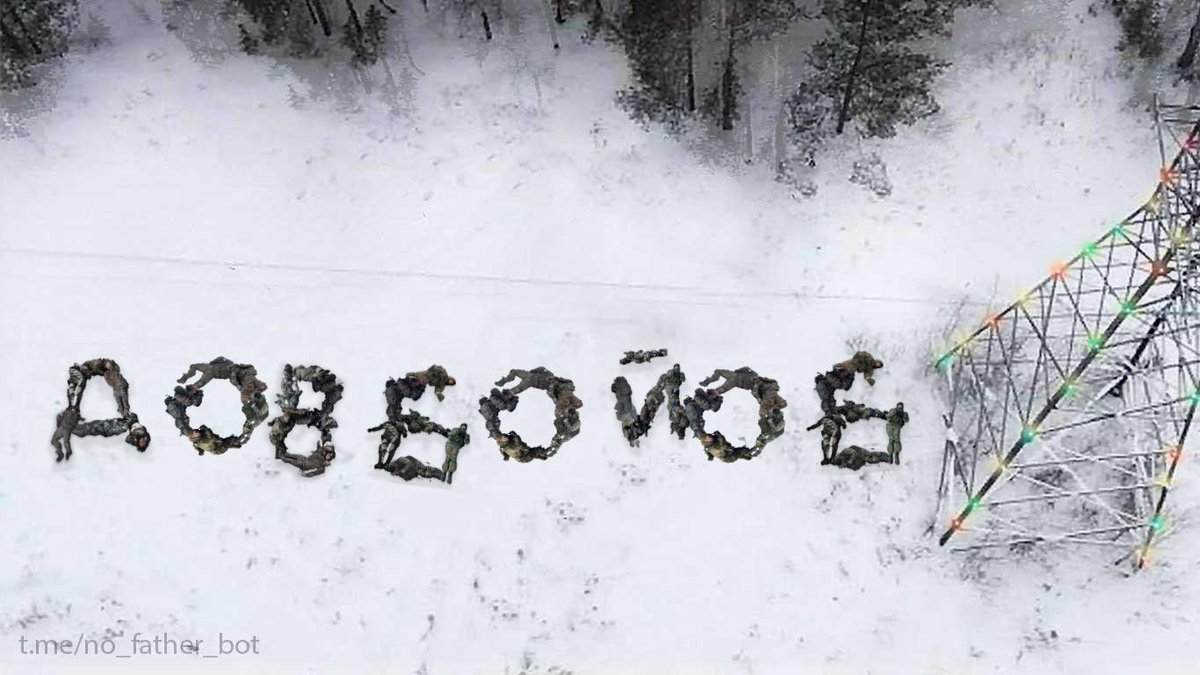 Кіш з Фіша tweet media