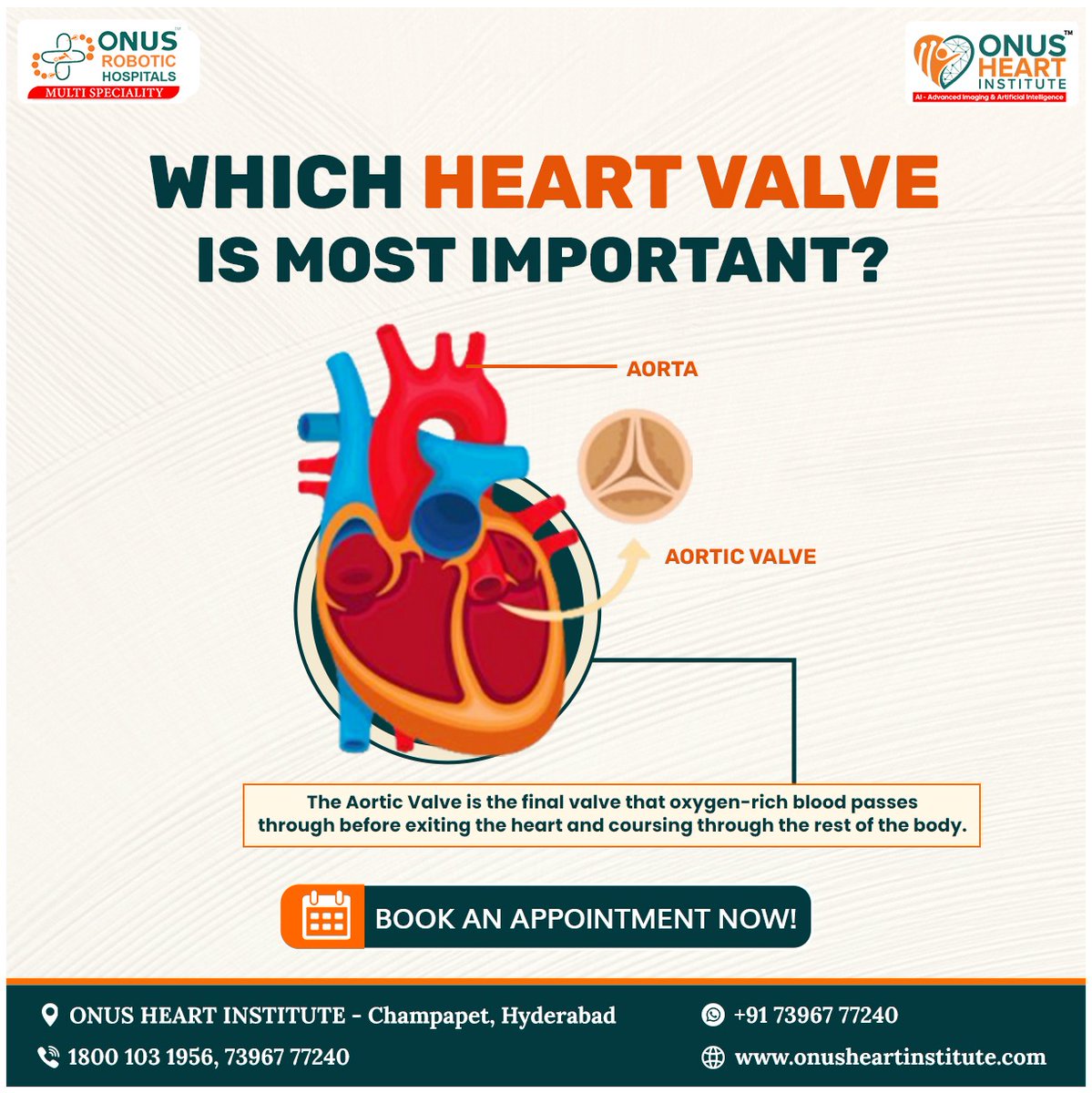 onusheart's tweet photo. "The aortic valve is the heart's most vital gatekeeper, ensuring proper blood flow to your body. For any heart valve concerns, visit Onus Heart Institute for expert care and advanced solutions."
#OnusHeartInstitute #heartAi
#AorticValve #HeartHealth  #CardiacCare #HealthyHeart https://t.co/1Ls0fZUPar