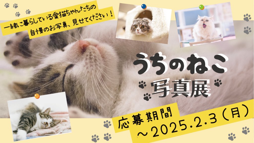 47V_shop's tweet photo. 🐱＼うちの猫写真展　大募集！／🐱

大切な家族のお写真、
メタバースで飾���てみませんか？

募集締切は2/3（月）まで📅
▽▽ご応募はこちら▽▽
https://t.co/AdjZIH5wQO

#猫のいる暮らし
#写真募集 https://t.co/7qGKt0MZYO