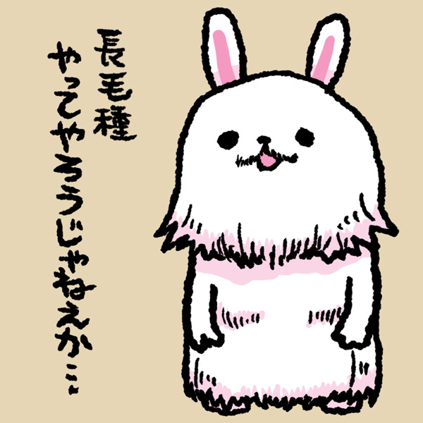 "こんじょうで のりこえられるときは こんじょうも だいじ"
#ま石と垣め 