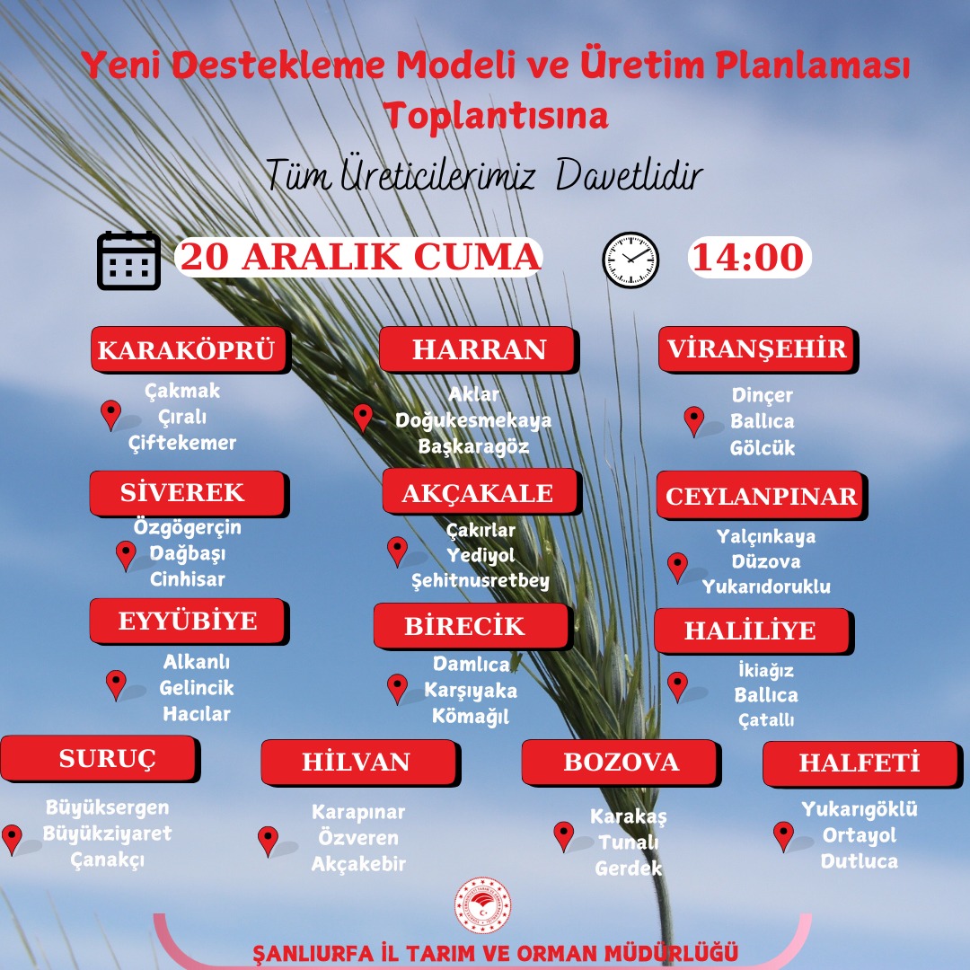 Resim