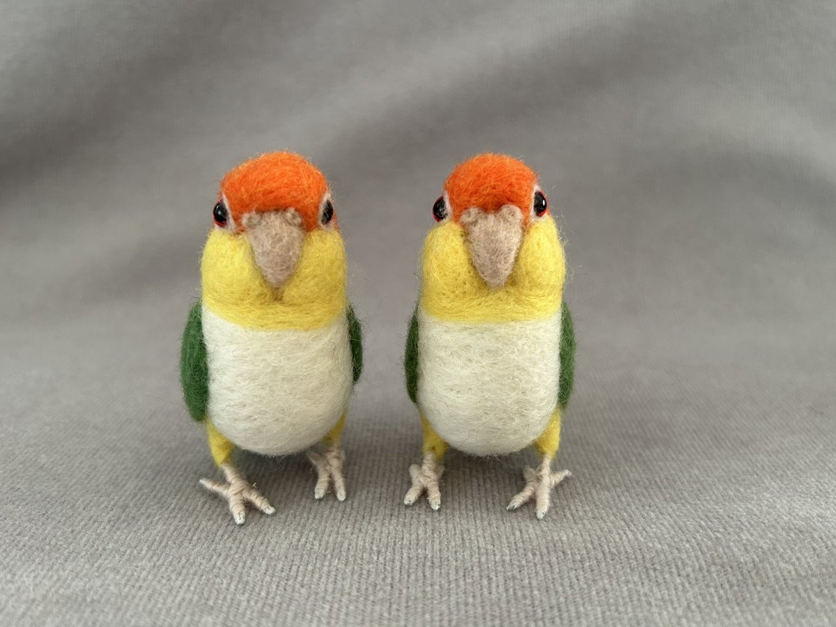 kodamambo_yu's tweet photo. シロハラインコ忘れてた💦
つくりました!!!
#鳥フェス浅草
#鳥フェス浅草2025
2025年1/18(土),19(日)
東京都立産業貿易センター
台東館6階・7階
#tinybooboo #needlefelting #needlecraft #woolwork #woolcraft #羊毛フェルト #羊毛フェルトインコ #インコ https://t.co/TlG9V9jHcC