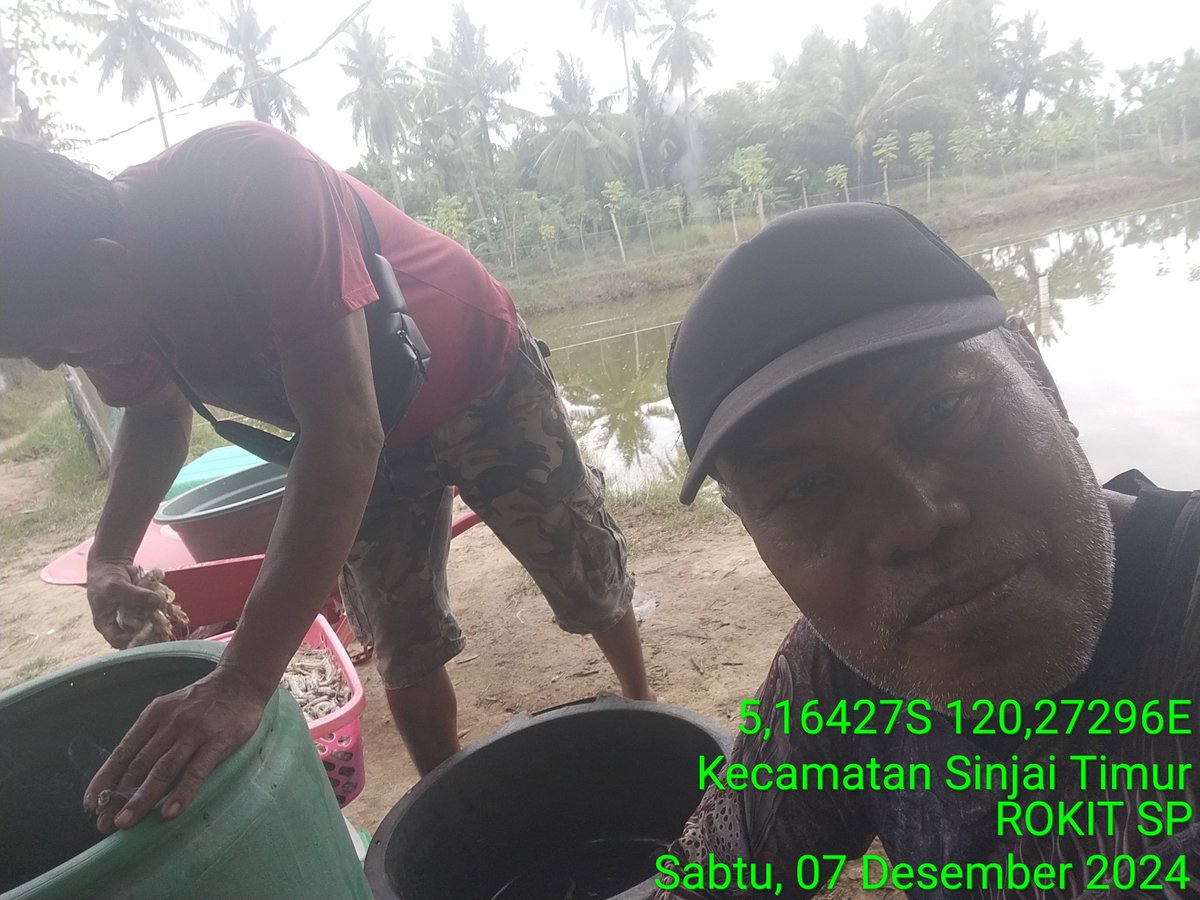 Rokit_66's tweet photo. Sabtu (07/12/2024) ROKIT SP Luhkan Kab Sinjai mendampingi panen parsial udang vaname di Desa Panaikang Kec Sinjai Timur An Fajaruddin produksi 75 kg zise 96 ekor/kg harga Rp 53.000/kg
#GiatLuhkanSatminkalMaros 
#panen 
#Luhlapor https://t.co/GK8qv3zEdZ