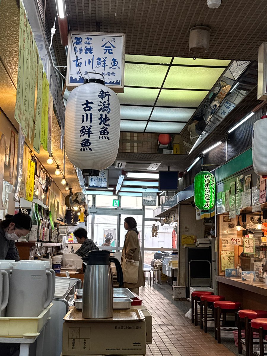 onmitsukodo's tweet photo. Romantic 2024 in Niigata https://t.co/buHCq72KFt